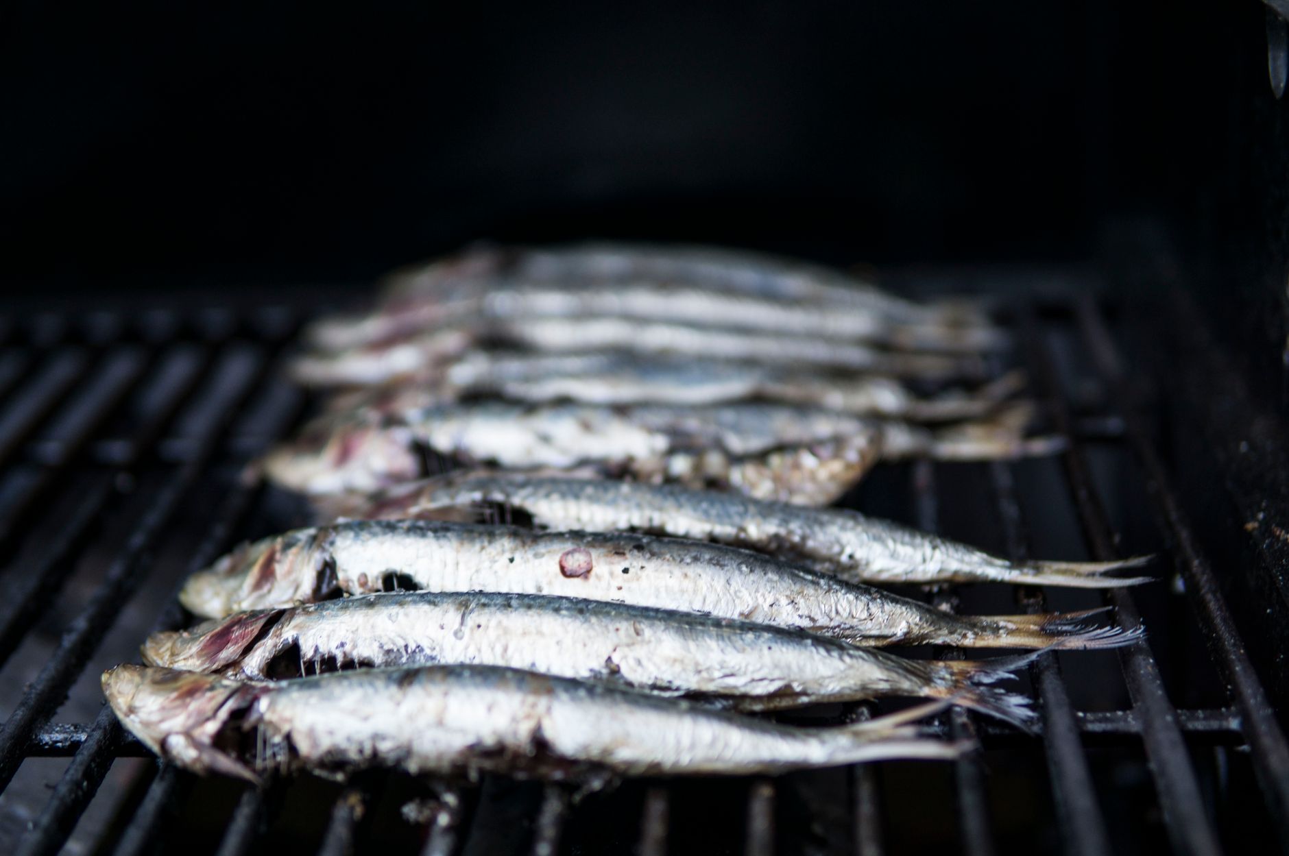 Gegrilde sardienen