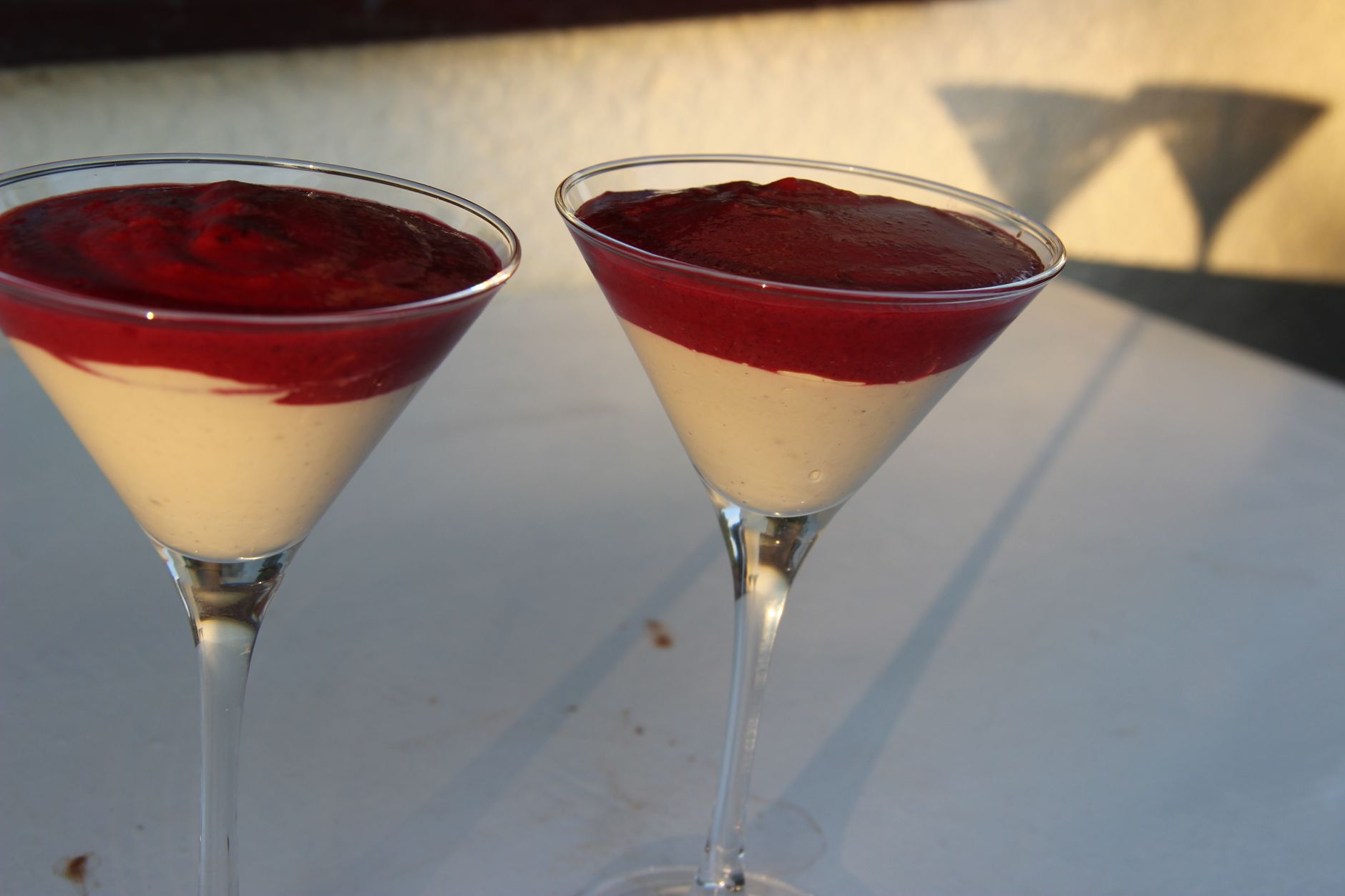 Panna cotta met bosvruchtencoulis